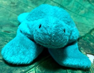 stuff toy turtle