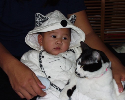 a baby and a cat