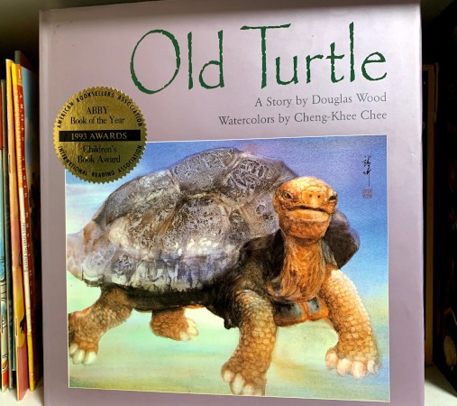 "Old Turtle" book