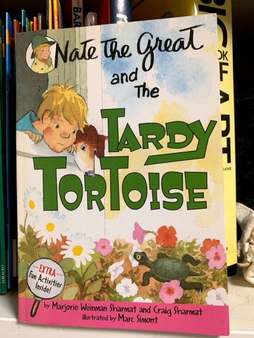 Storybook about a child detective and a tortoise