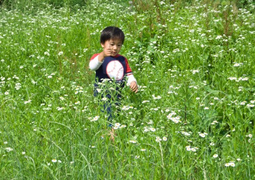 a boy playing in the grasses under the sun