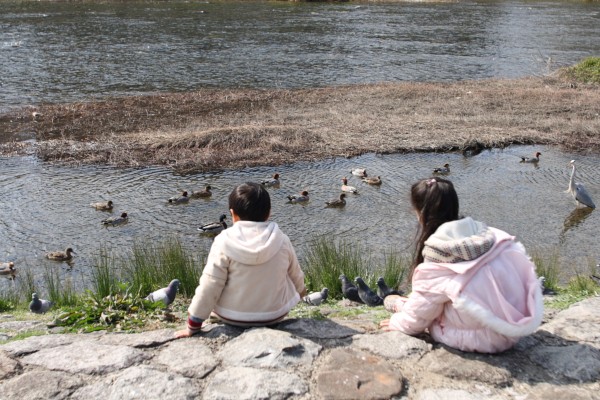 kids sitting with different kind of birds